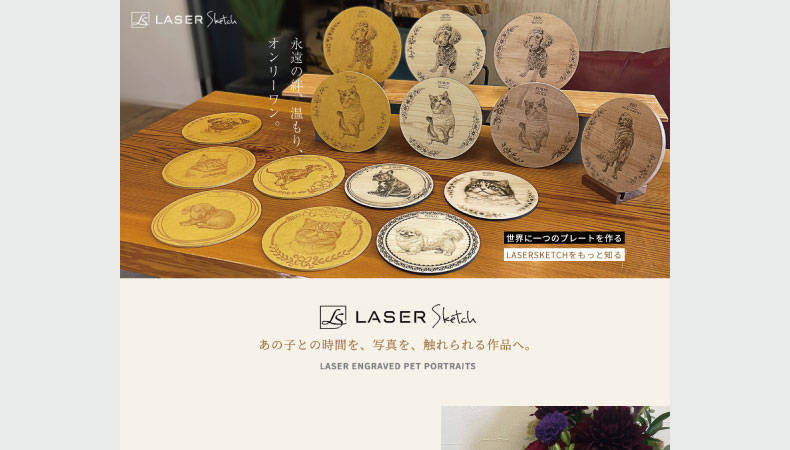LASER Sketch